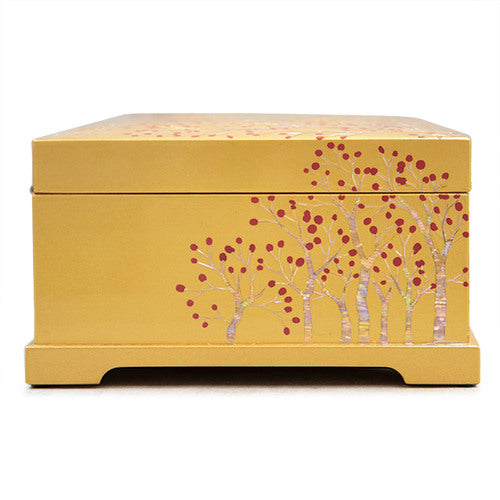 Crane & Pine 1-Drawer Vanity Jewelry Box (Black)